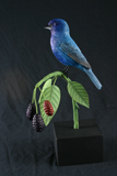 Indigo Bunting